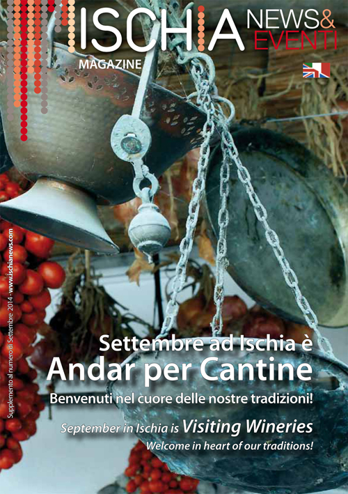 331-31-2014-Andar-per-cantine-Copertina