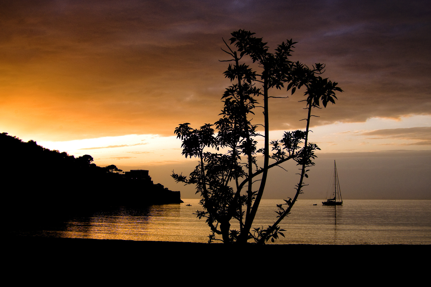 Ischia - Lacco Ameno-2